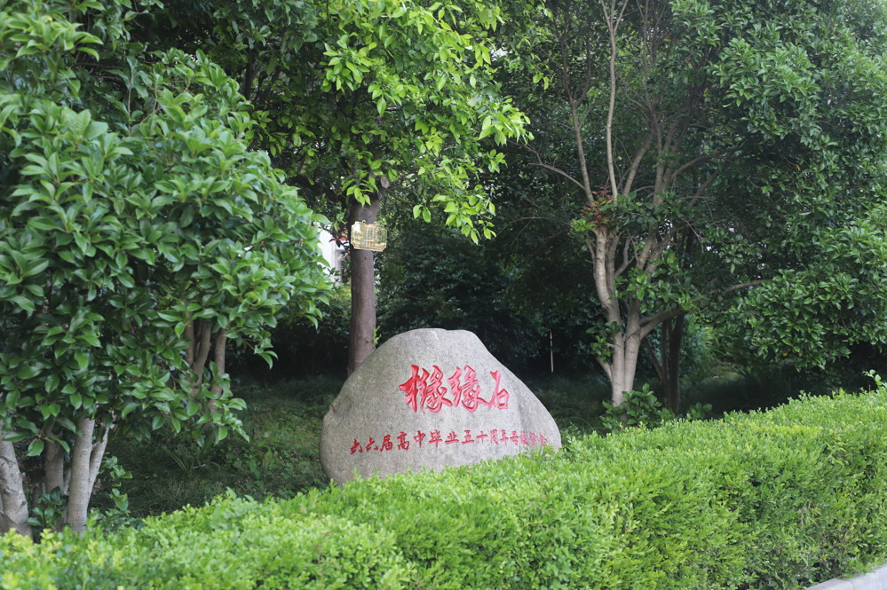 橼缘石